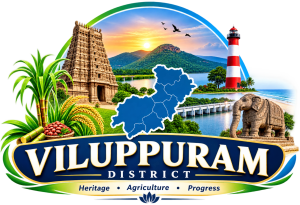 cropped logo.png